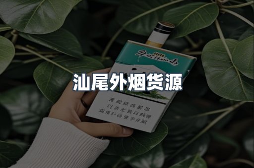 汕尾外烟货源